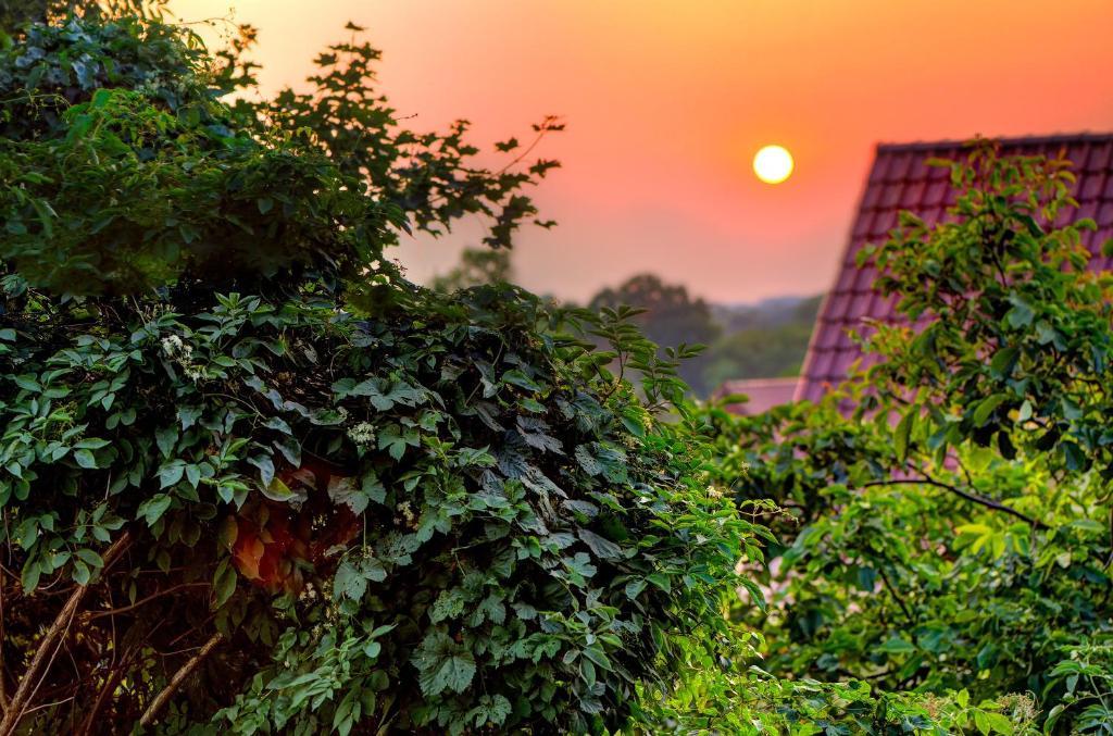 Arthotel Kiebitzberg Havelberg Bagian luar foto